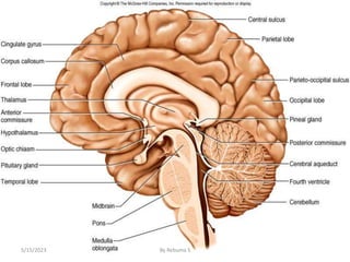40
5/15/2023 By Rebuma S
 