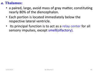 a. Thalamus:
• a paired, large, avoid mass of gray matter, constituting
nearly 80% of the diencephalon.
• Each portion is located immediately below the
respective lateral ventricle.
• Its principal function is to act as a relay center for all
sensory impulses, except smell(olfactory).
41
5/15/2023 By Rebuma S
 