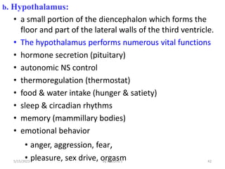 b. Hypothalamus:
• a small portion of the diencephalon which forms the
floor and part of the lateral walls of the third ventricle.
• The hypothalamus performs numerous vital functions
• hormone secretion (pituitary)
• autonomic NS control
• thermoregulation (thermostat)
• food & water intake (hunger & satiety)
• sleep & circadian rhythms
• memory (mammillary bodies)
• emotional behavior
• anger, aggression, fear,
• pleasure, sex drive, orgasm 42
5/15/2023 By Rebuma S
 