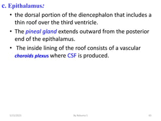 c. Epithalamus:
• the dorsal portion of the diencephalon that includes a
thin roof over the third ventricle.
• The pineal gland extends outward from the posterior
end of the epithalamus.
• The inside lining of the roof consists of a vascular
choroids plexus where CSF is produced.
43
5/15/2023 By Rebuma S
 