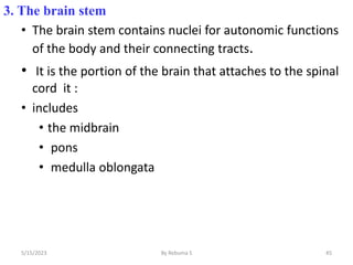 3. The brain stem
• The brain stem contains nuclei for autonomic functions
of the body and their connecting tracts.
• It is the portion of the brain that attaches to the spinal
cord it :
• includes
• the midbrain
• pons
• medulla oblongata
45
5/15/2023 By Rebuma S
 