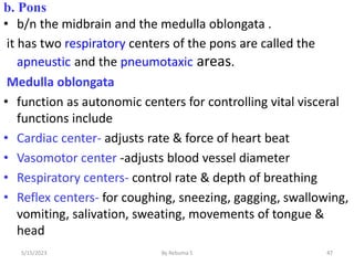 b. Pons
• b/n the midbrain and the medulla oblongata .
it has two respiratory centers of the pons are called the
apneustic and the pneumotaxic areas.
Medulla oblongata
• function as autonomic centers for controlling vital visceral
functions include
• Cardiac center- adjusts rate & force of heart beat
• Vasomotor center -adjusts blood vessel diameter
• Respiratory centers- control rate & depth of breathing
• Reflex centers- for coughing, sneezing, gagging, swallowing,
vomiting, salivation, sweating, movements of tongue &
head
47
5/15/2023 By Rebuma S
 