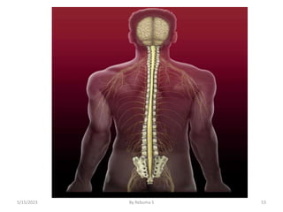 53
5/15/2023 By Rebuma S
 