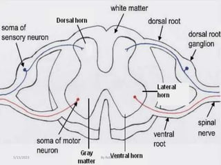 57
5/15/2023 By Rebuma S
 