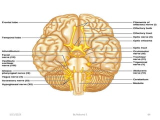 64
5/15/2023 By Rebuma S
 