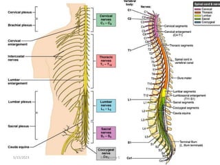 69
5/15/2023 By Rebuma S
 