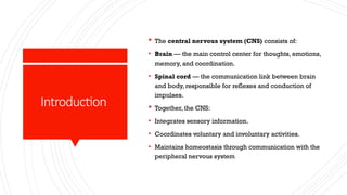 Cns Introduction central nervous system: brain and spinal cord | PPTX