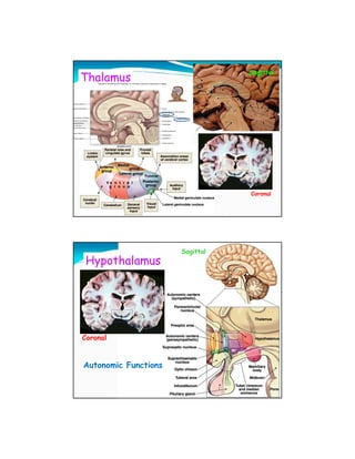 Sagittal
Thalamus




                                 Coronal




                      Sagittal
Hypothalamus




Coronal


Autonomic Functions
 