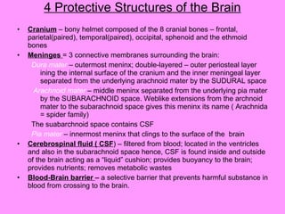 4 Protective Structures of the Brain Cranium  – bony helmet composed of the 8 cranial bones – frontal, parietal(paired), temporal(paired), occipital, sphenoid and the ethmoid bones Meninges  = 3 connective membranes surrounding the brain:  Dura mater  – outermost meninx; double-layered – outer periosteal layer ining the internal surface of the cranium and the inner meningeal layer separated from the underlying arachnoid mater by the SUDURAL space  Arachnoid mater   – middle meninx separated from the underlying pia mater by the SUBARACHNOID space. Weblike extensions from the archnoid mater to the subarachnoid space gives this meninx its name ( Arachnida = spider family) The suabarchnoid space contains CSF Pia mater  – innermost meninx that clings to the surface of the  brain Cerebrospinal fluid ( CSF ) – filtered from blood; located in the ventricles and also in the subarachnoid space hence, CSF is found inside and outside of the brain acting as a “liquid” cushion; provides buoyancy to the brain; provides nutrients; removes metabolic wastes Blood-Brain barrier  –  a selective barrier that prevents harmful substance in blood from crossing to the brain. 