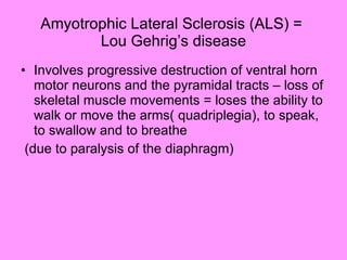 Amyotrophic Lateral Sclerosis (ALS) =  Lou Gehrig’s disease Involves progressive destruction of ventral horn motor neurons and the pyramidal tracts – loss of skeletal muscle movements = loses the ability to walk or move the arms( quadriplegia), to speak, to swallow and to breathe (due to paralysis of the diaphragm) 
