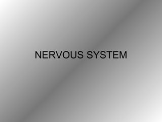 NERVOUS SYSTEM 