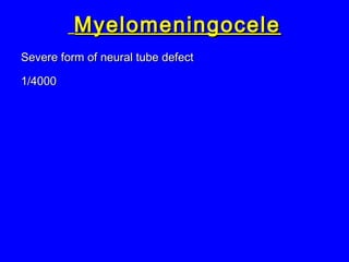 MyelomeningoceleMyelomeningocele
Severe form of neural tube defectSevere form of neural tube defect
1/40001/4000
 