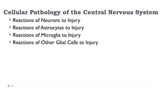 Pathology of the nervous system.pptx, describes about axonal injury ...