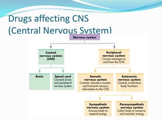Drugs affecting CNS
(Central Nervous System)
 