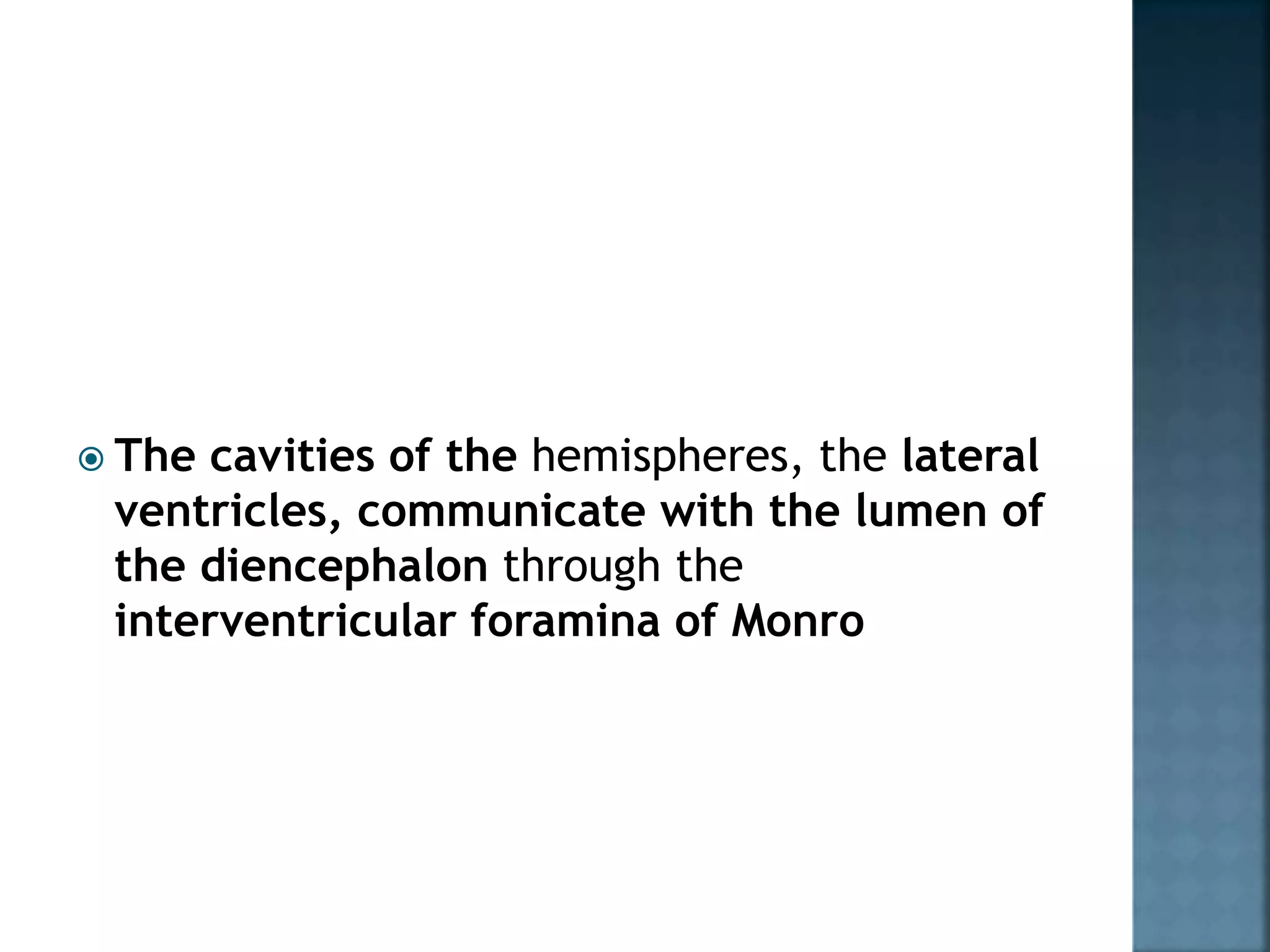  The cavities of the hemispheres, the lateral
ventricles, communicate with the lumen of
the diencephalon through the
interventricular foramina of Monro
 