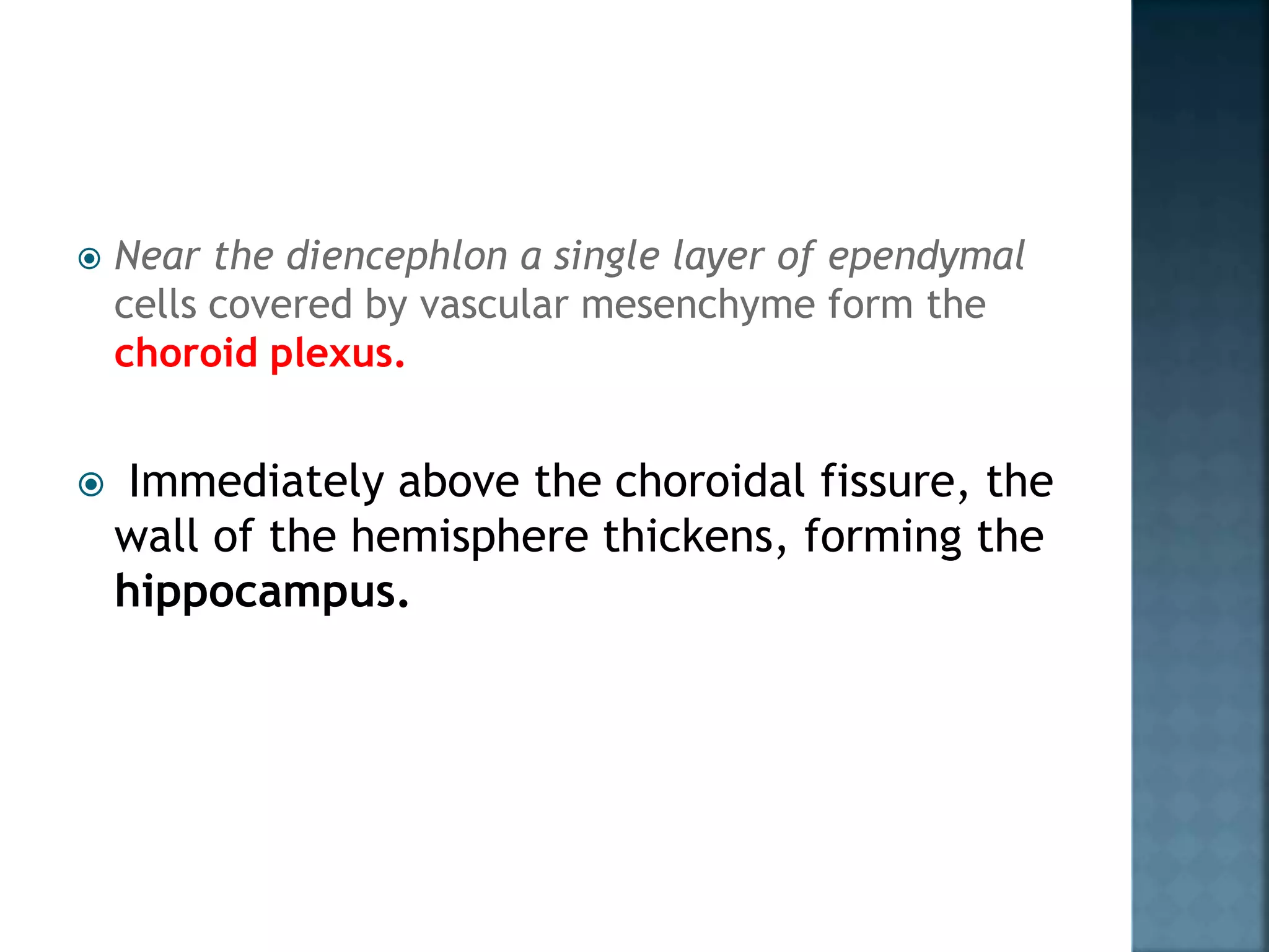  Near the diencephlon a single layer of ependymal
cells covered by vascular mesenchyme form the
choroid plexus.
 Immediately above the choroidal fissure, the
wall of the hemisphere thickens, forming the
hippocampus.
 