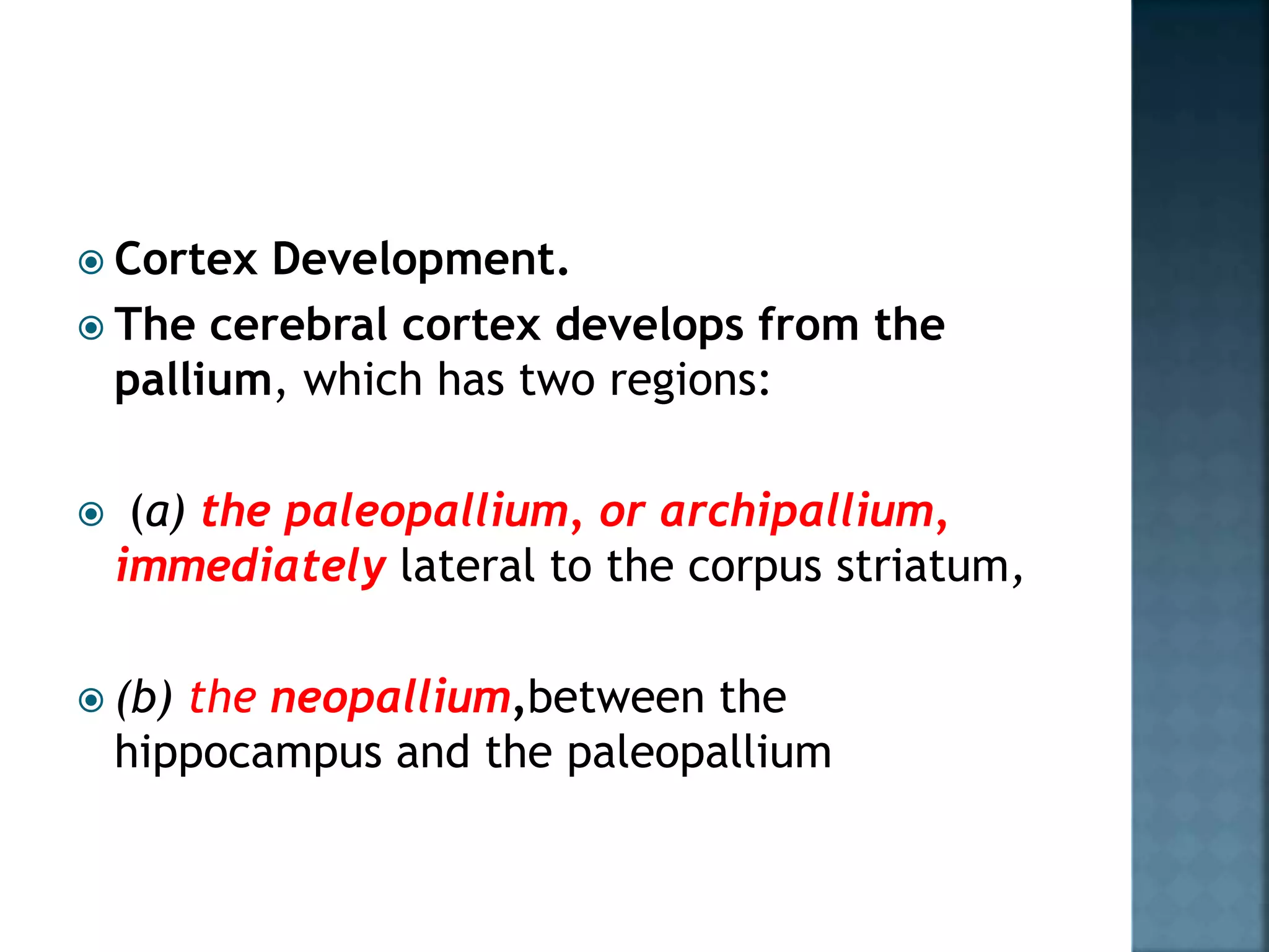  Cortex Development.
 The cerebral cortex develops from the
pallium, which has two regions:
 (a) the paleopallium, or archipallium,
immediately lateral to the corpus striatum,
 (b) the neopallium,between the
hippocampus and the paleopallium
 