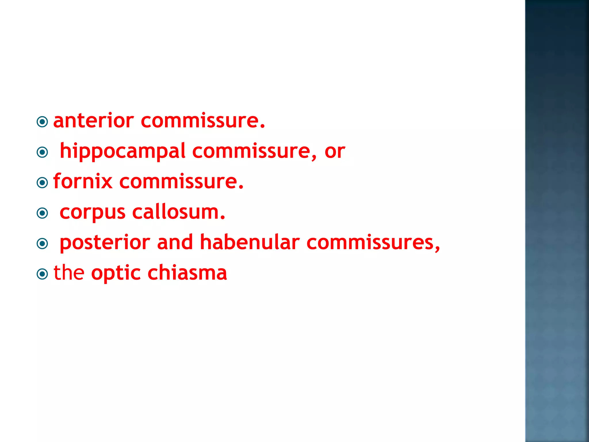  anterior commissure.
 hippocampal commissure, or
 fornix commissure.
 corpus callosum.
 posterior and habenular commissures,
 the optic chiasma
 