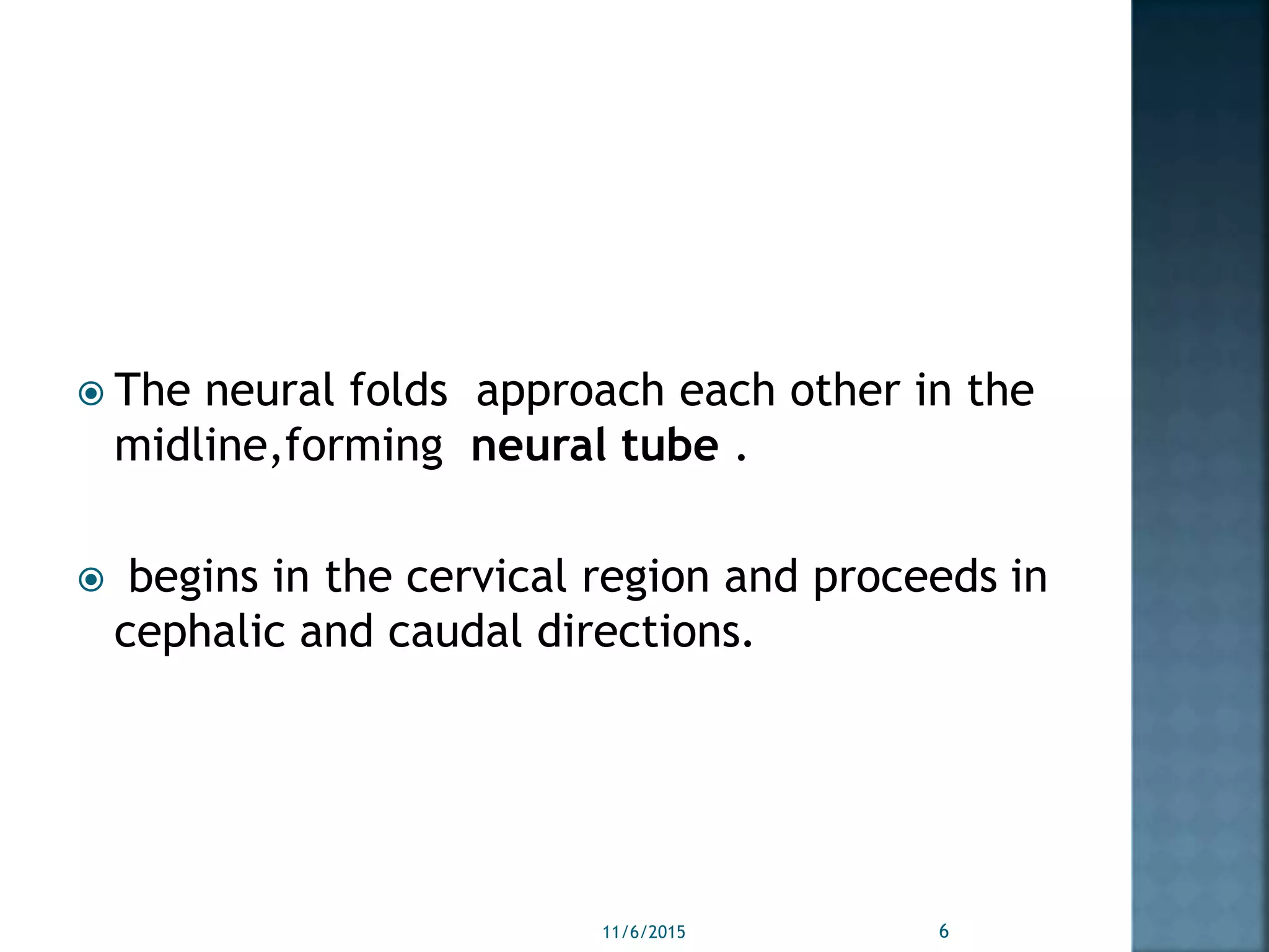  The neural folds approach each other in the
midline,forming neural tube .
 begins in the cervical region and proceeds in
cephalic and caudal directions.
11/6/2015 6
 