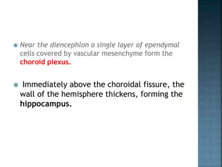  Near the diencephlon a single layer of ependymal
cells covered by vascular mesenchyme form the
choroid plexus.
 Immediately above the choroidal fissure, the
wall of the hemisphere thickens, forming the
hippocampus.
 