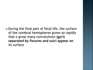 During the final part of fetal life, the surface
of the cerebral hemispheres grows so rapidly
that a great many convolutions (gyri)
separated by fissures and sulci appear on
its surface
 