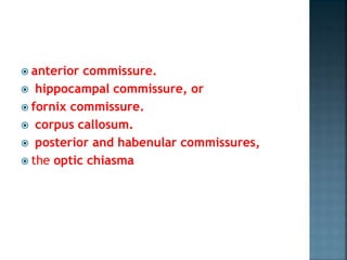  anterior commissure.
 hippocampal commissure, or
 fornix commissure.
 corpus callosum.
 posterior and habenular commissures,
 the optic chiasma
 