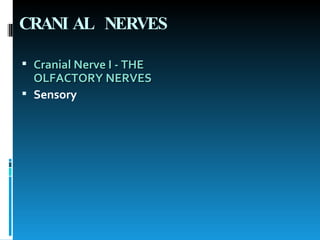 CRANIAL NERVES Cranial Nerve I - THE OLFACTORY NERVES   Sensory 
