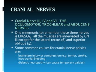 CRANIAL NERVES Cranial Nerve III, IV and VI - THE OCULOMOTOR, TROCHLEAR and ABDUCENS NERVES   One mnemonic to remember these three nerves is LR6SO4 : all the muscles are innervated by CN III except for the lateral rectus (6) and superior oblique (4).  Some common causes for cranial nerve palsies are: brainstem injury or compression (e.g. tumor, stroke, intracranial bleeding  diabetic neuropathy (can cause temporary palsies).  