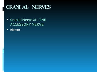 CRANIAL NERVES Cranial Nerve XI - THE ACCESSORY NERVE Motor 