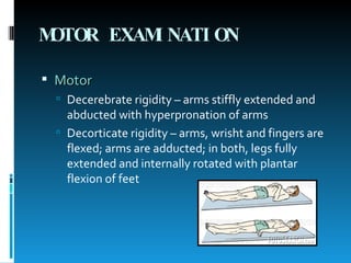 MOTOR EXAMINATION Motor Decerebrate rigidity – arms stiffly extended and abducted with hyperpronation of arms Decorticate rigidity – arms, wrisht and fingers are flexed; arms are adducted; in both, legs fully extended and internally rotated with plantar flexion of feet 