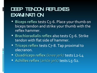 DEEP TENDON REFLEXES EXAMINATION Biceps reflex  tests C5-6. Place your thumb on biceps tendon and strike your thumb with the reflex hammer.  Brachioradialis reflex  also tests C5-6. Strike tendon with flat side of hammer.  Triceps reflex   tests C7-8. Tap proximal to olecranon.  Quadriceps reflex  (knee jerk)  tests L2-L4  Achilles reflex  (ankle jerk)  tests L5-S2.  