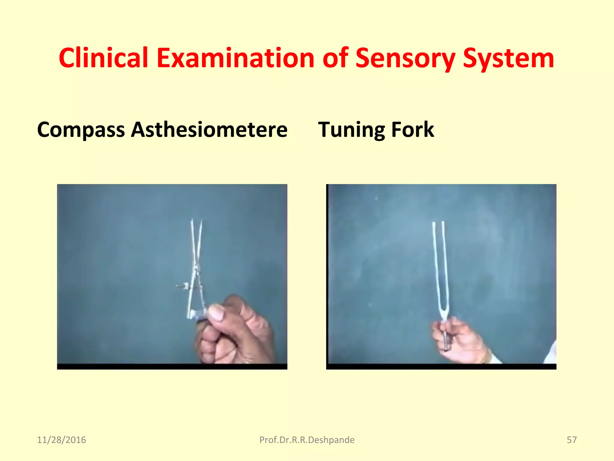 Clinical Examination of Sensory System
Compass Asthesiometere Tuning Fork
11/28/2016 Prof.Dr.R.R.Deshpande 57
 