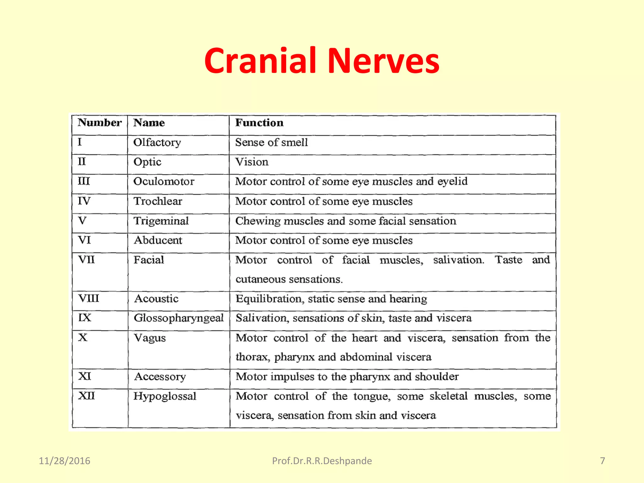 Cranial Nerves
11/28/2016 Prof.Dr.R.R.Deshpande 7
 