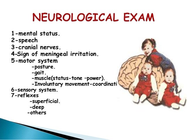 cns examination