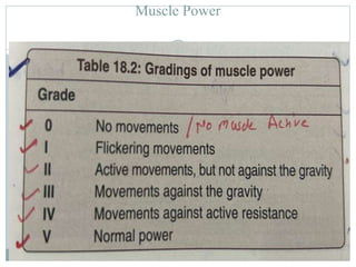Muscle Power
 