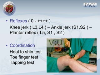 CNS examination.......................ppt