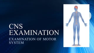 CNS
EXAMINATION
EXAMINATION OF MOTOR
SYSTEM
 