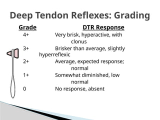 CNS EXAMINATION.....................pptx
