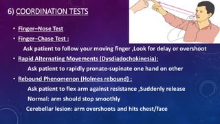 cns examination brief description about all the cns examination | PDF