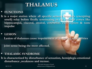 THALAMUSTHALAMUS
 FUNCTIONSFUNCTIONS
It is a major station where all specific sensory impulses (exceptingIt is a major st...