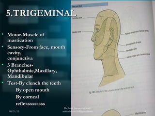 5.TRIGEMINAL5.TRIGEMINAL
• Motor-Muscle ofMotor-Muscle of
masticationmastication
• Sensory-From face, mouthSensory-From fa...