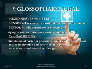 9 GLOSSOPHARYNGEAL9 GLOSSOPHARYNGEAL
• MIXED NERVE+ PS FIBERSMIXED NERVE+ PS FIBERS
• SENSORY-Taste over the posterior one...