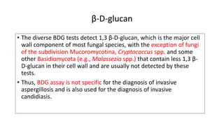 Central Nervous System Fungal Infection | PPTX