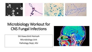 Microbiology Workout for
CNS Fungal Infections
Siti Hawa binti Hamzah
Microbiology Unit
Pathology Dept, HSJ
 
