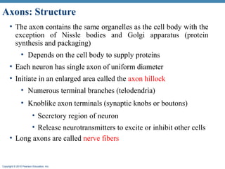 Cns histology and anatomy | PPT