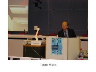 Torsten Wiesel 
 