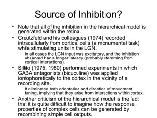 Source of Inhibition? 
• Note that all of the inhibition in the hierarchical model is 
generated within the retina. 
• Creutzfeld and his colleagues (1974) recorded 
intracellularly from cortical cells (a monumental task) 
while stimulating units in the LGN. 
– In all cases the LGN input was excitatory, and the inhibition 
observed had a longer latency (probably stemming from 
cortical interactions). 
• Sillito (1975, 1980) performed experiments in which 
GABA antagonists (bicuculine) was applied 
iontophoretically to the cortex in the vicinity of a 
recording site. 
– It eliminated both orientation and direction of movement 
tuning, implying that they arise from interactions within cortex. 
• Another criticism of the hierarchical model is the fact 
that it is quite difficult to imagine how the response 
properties of complex cells can be generated by 
recombining simple cell outputs. 
 