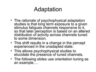 Adaptation 
• The rationale of psychophysical adaptation 
studies is that long term exposure to a given 
stimulus fatigues channels responsive to it, 
so that later perception is based on an altered 
distribution of activity across channels tuned 
to some dimension. 
• This shift results in a change in the percept 
experienced in the unadapted state. 
• This allows psychophysical studies to 
elucidate the presence of tuned channels. 
• The following slides use orientation tuning as 
an example…. 
 