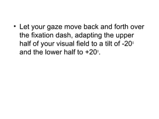 • Let your gaze move back and forth over 
the fixation dash, adapting the upper 
half of your visual field to a tilt of -20o 
and the lower half to +20o. 
 