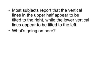 • Most subjects report that the vertical 
lines in the upper half appear to be 
tilted to the right, while the lower vertical 
lines appear to be tilted to the left. 
• What’s going on here? 
 
